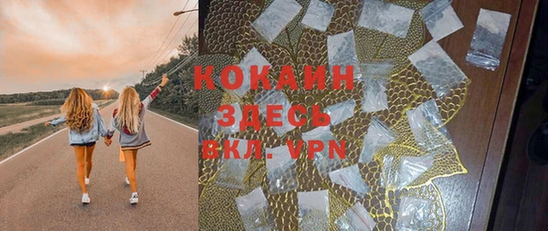 гидра Надым