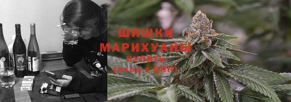 гидра Надым