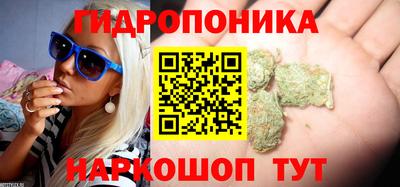 индика Абинск