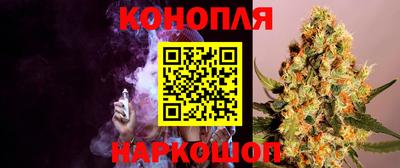 PSILOCYBIN Заволжье
