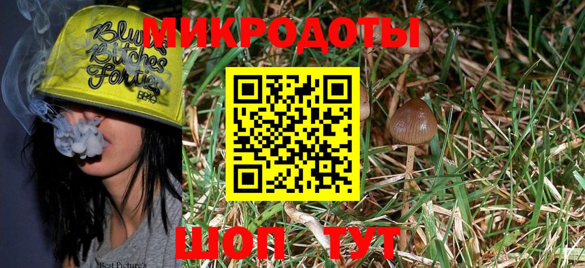 Галлюциногенные грибы Cubensis Кубинка