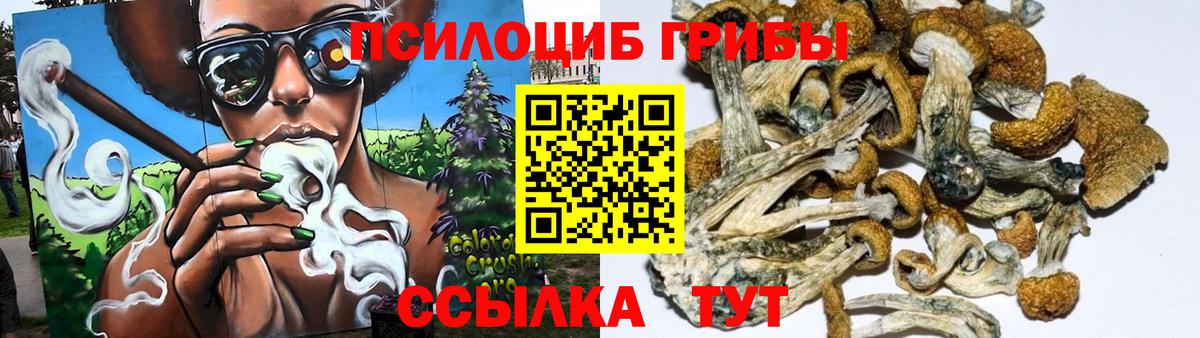 Галлюциногенные грибы прущие грибы  Вход с VPN  продажа наркотиков  Кубинка 